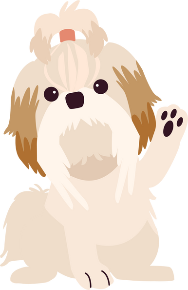 Sitted Shih Tzu Illustration